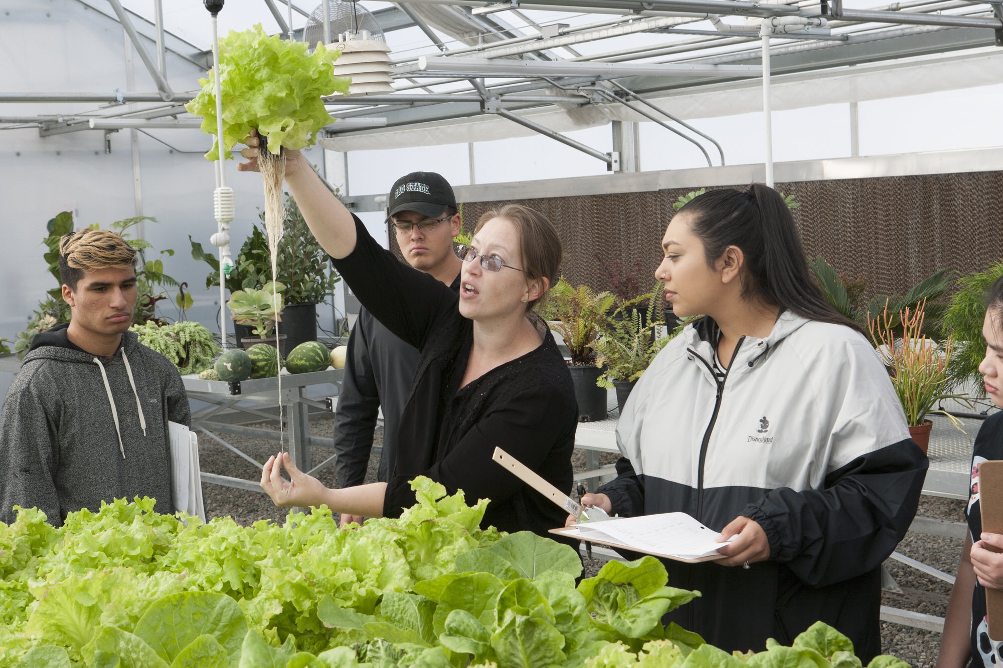 Instructor holding lettuce inside greenhouse