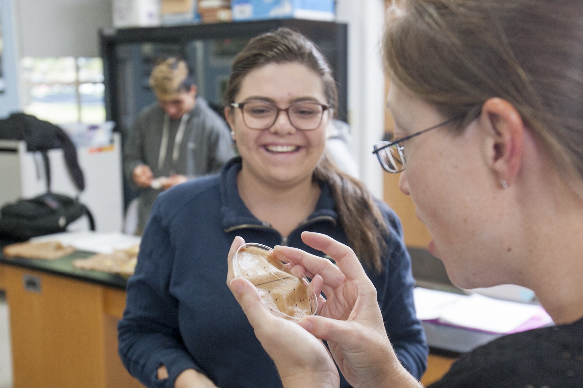 Ecology Woodland Community College ecology-woodland-community-college